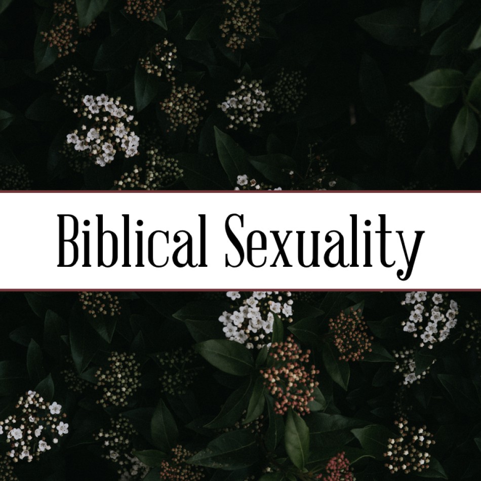 Biblical Sexuality